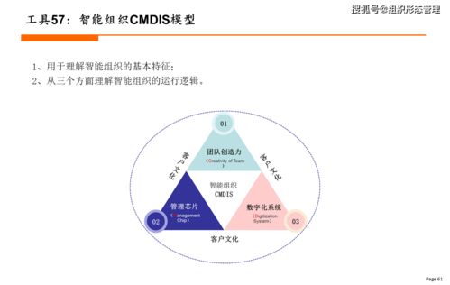 新组织设计工具大全 2021年