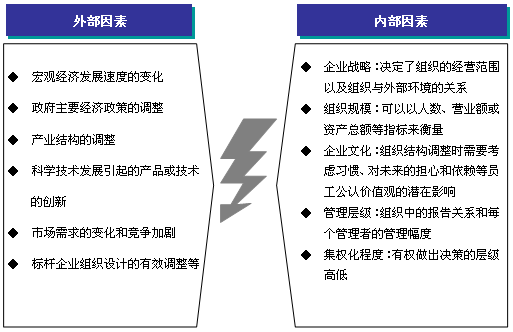组织设计 与企业共同发展