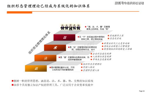 新组织设计工具大全 2021年