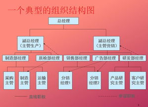 64页企业组织架构设计方案 应该是很多人在找的一份精品干货