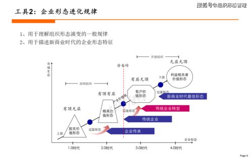 新组织设计工具大全 2021年