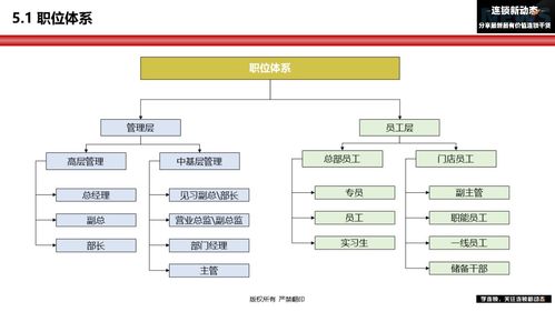 连锁企业组织架构如何设计 组织设计与岗位说明 给你答案
