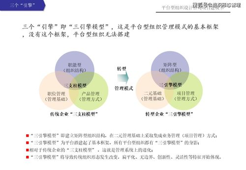 杨少杰 平台型组织设计逻辑