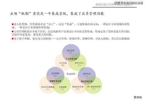 新组织设计管理咨询项目建议书