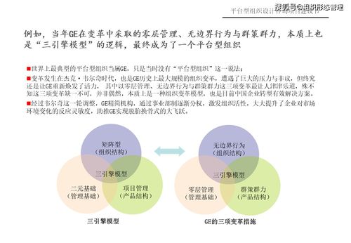 杨少杰 平台型组织设计逻辑