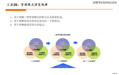 新组织设计工具大全 2021年