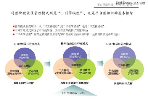 杨少杰 平台型组织设计逻辑