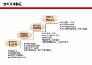 连锁组织设计密码