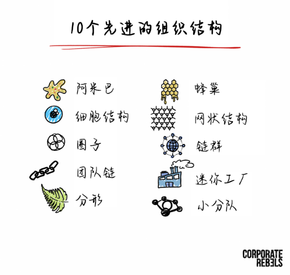 当今十大先进组织结构,你知道的有哪些?|特别策划