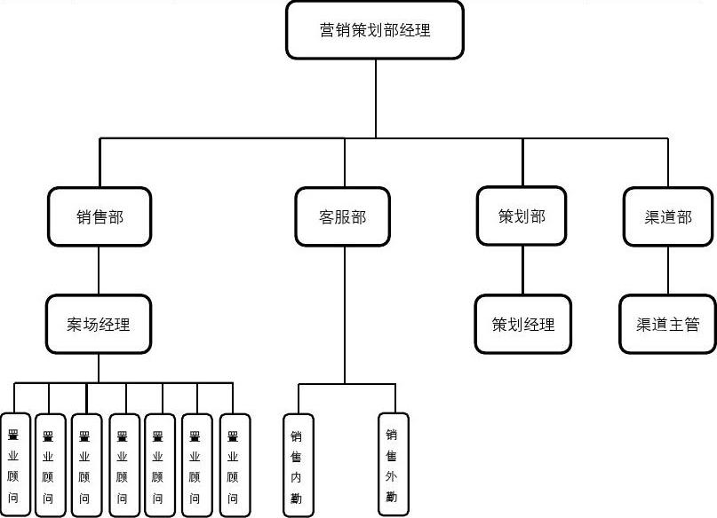 营销策划部组织架构及薪酬体系