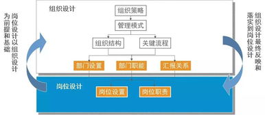 组织设计与权责体系