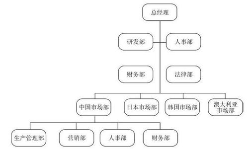 组织设计与工作分析
