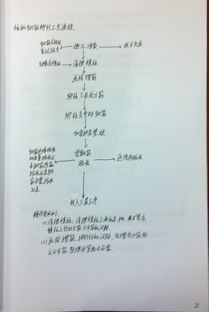 文章 施工组织设计
