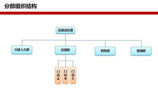 组织设计方案,设计基本原则,部门职能