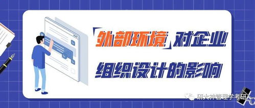 管理学考点 外部环境对企业组织设计的影响