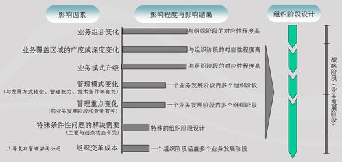 组织阶段设计的影响因素