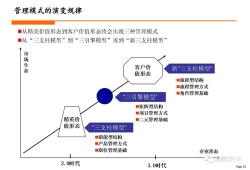 生态型组织设计方法与步骤.ppt