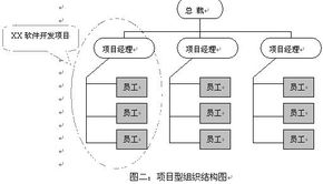大型软件项目中的组织环境