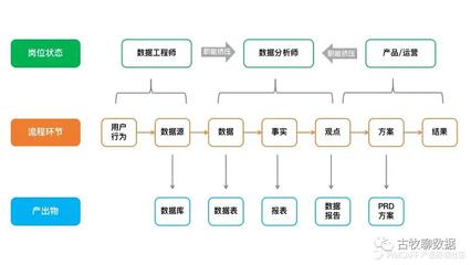 一种声音:现阶段不建议新人入坑数据分析